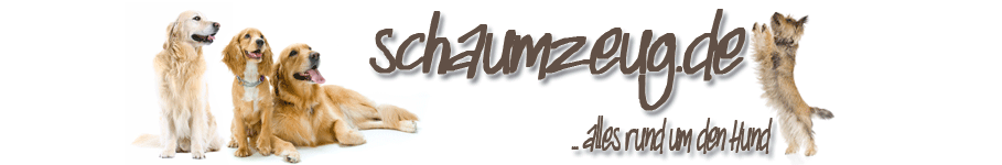 Banner_Schaumzeug