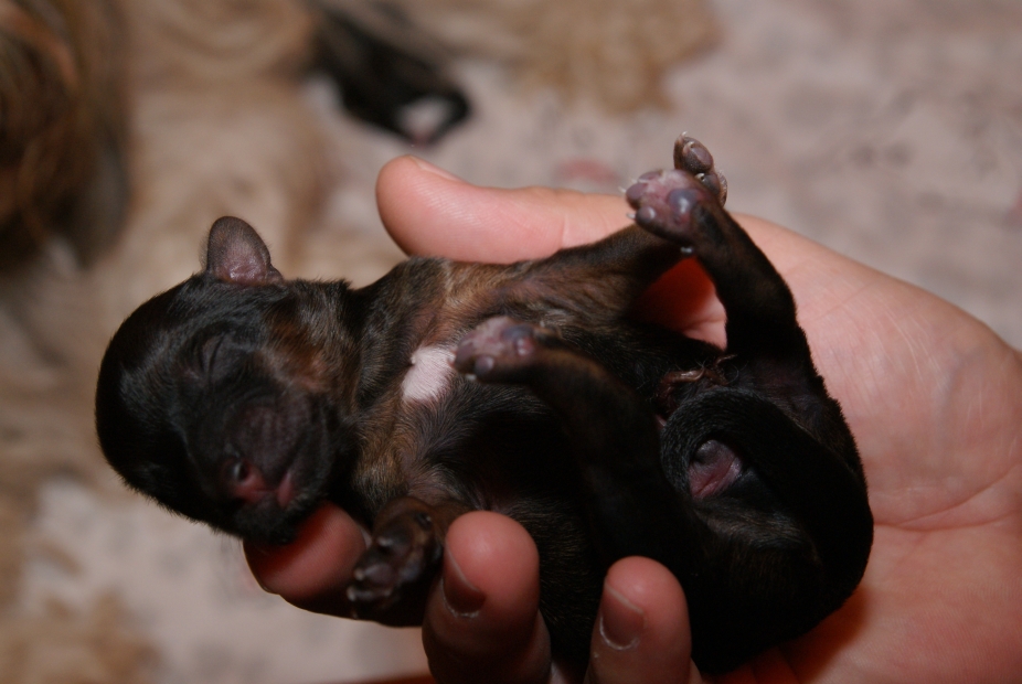 DSC02545 DSC02545