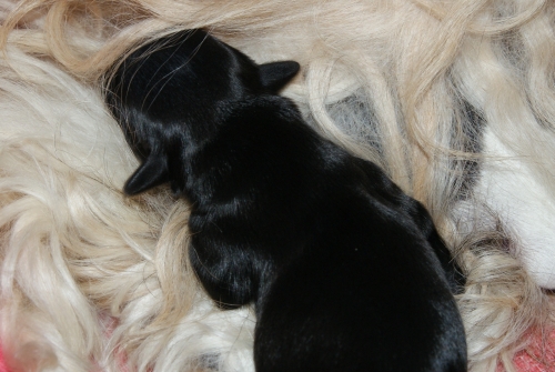 DSC04858 DSC04858