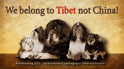 WebelongtotTibetnotChina