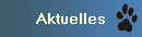 Aktuelles