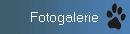 Fotogalerie