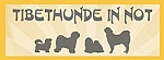 banner_tibethunde-in-not