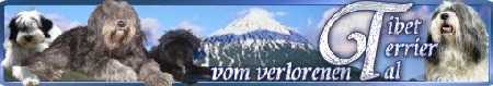 banner_vom_verlorenen_Tal