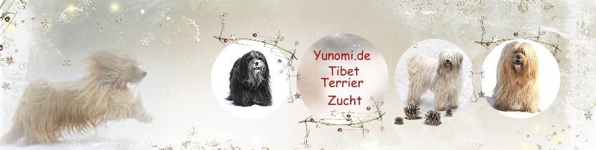 banner_yunomi_tt