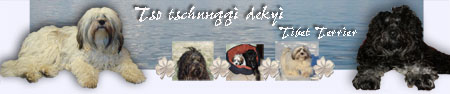 neues_banner_klein Kopie1